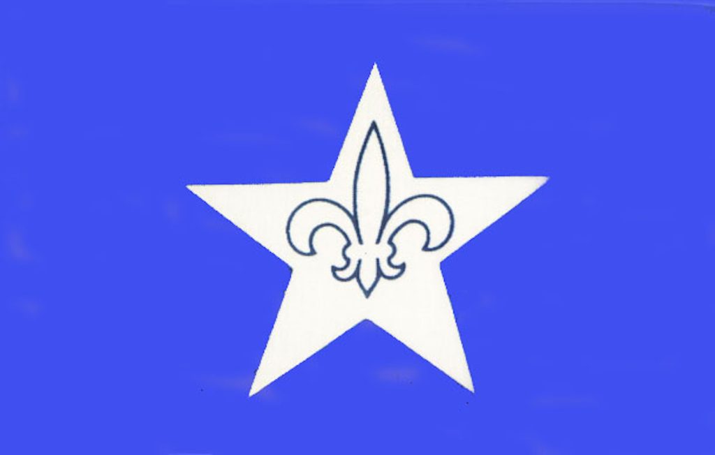 Franco-American Flag with a blue background, large white star in the middle, with a fleur-de-lys thinly outlined in blue.