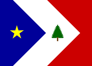 New England Acadian flag with a blue sideways triangle with a yellow star on top, a white sideways triangle with a solid green pine tree outline, and a red sideways triangle.
